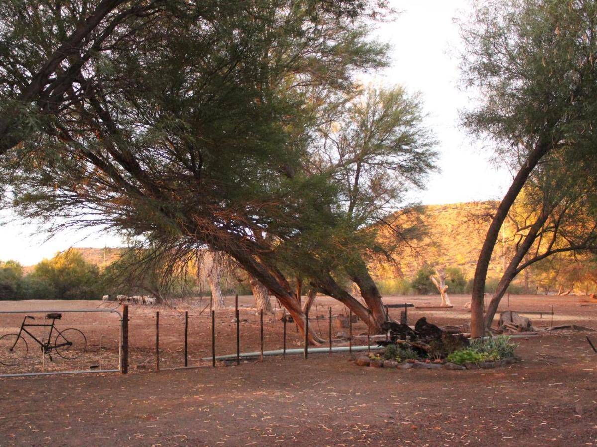 Quaggasfontein Gastehuis Beaufort West Ngoại thất bức ảnh
